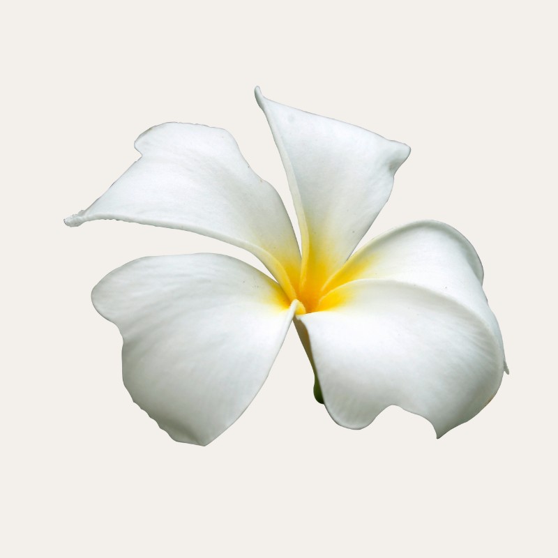 Expatriation Maurice 